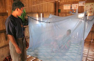 Image source - http://www.who.int/sysmedia/images/topics/malaria.jpg