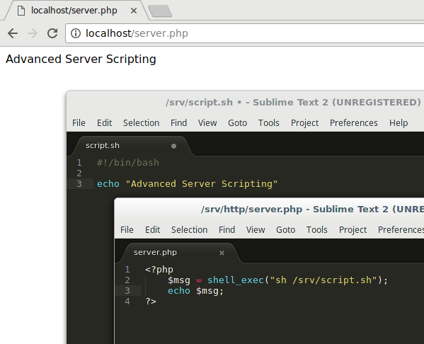 Executing bash script with php