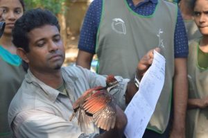 Dr. Sampath Senevirathne teaching proper ways of recording bird's details, of a Lesser Flameback
