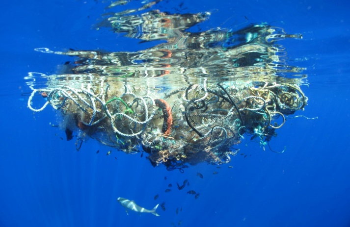 Plastics in Ocean of the Earth