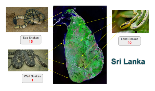 Distribution of Land, Sea, and Wart snakes in Sri Lanka.