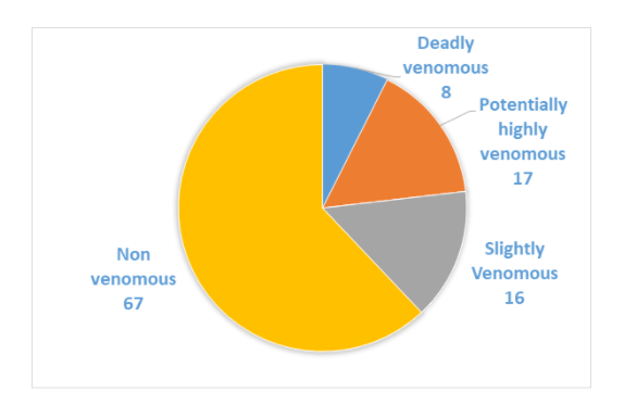 The pie chart of the number of species of snakes based on the degree of venom.