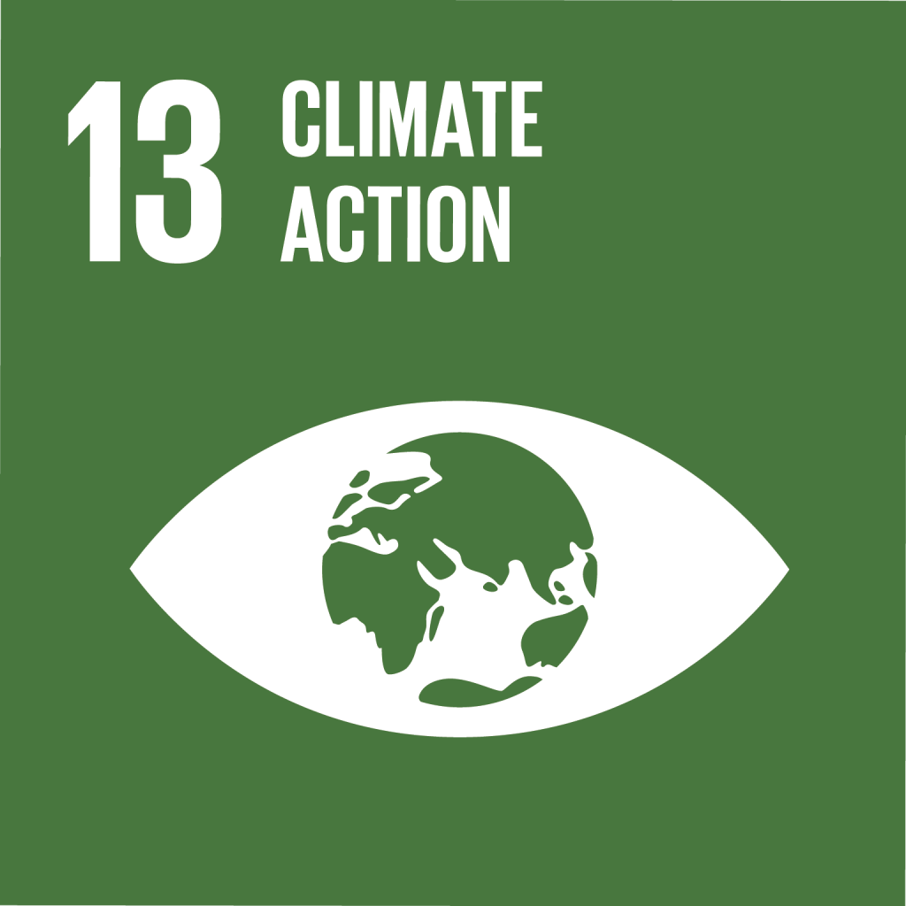 Icon, Goal 13 of SDGs