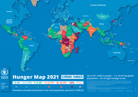 World Hunger Map, 2021.