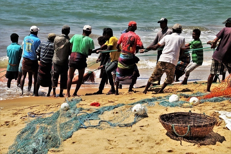 People who engage in fisheries dragging a fishing net back to shore with the catch.