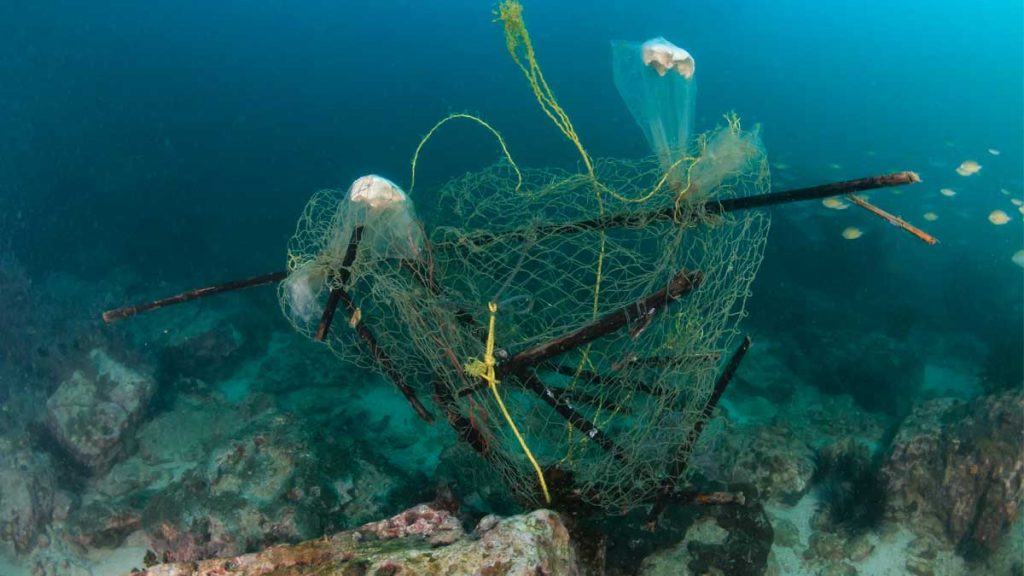 Adverse effects of fisheries; stranded nets on ocean floor.