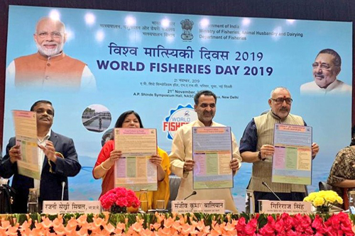 World Fisheries Day celebration in 2019.