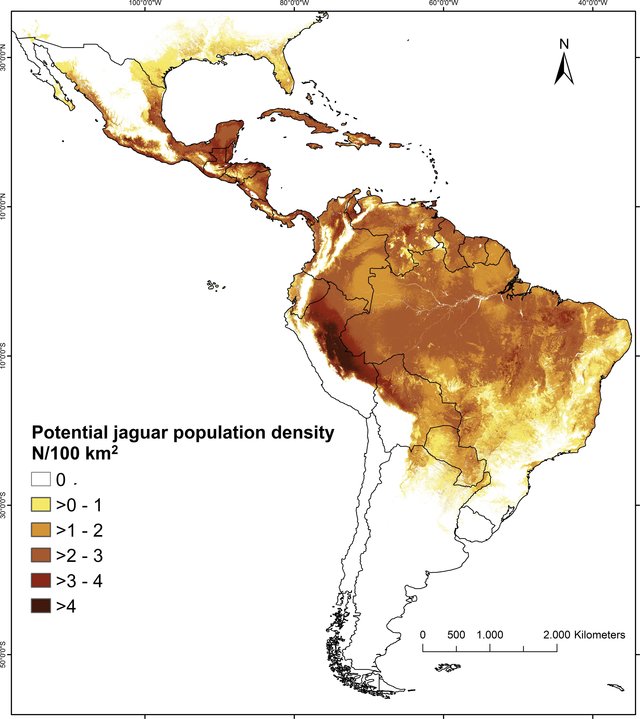 Predicted spatial variation of Jaguar population densities across North and South America.
