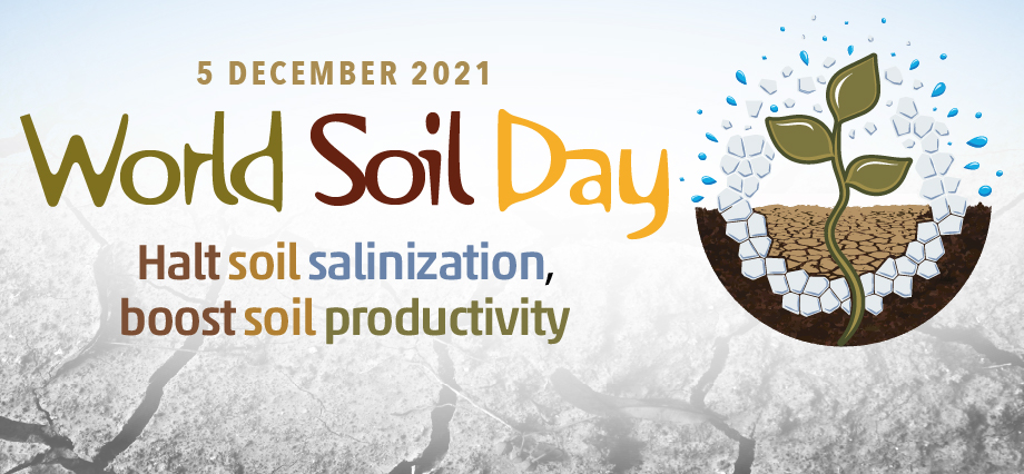 World Soil Day 2021 poster.