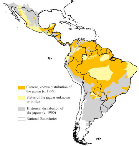 Distribution of jaguars in the American continents 