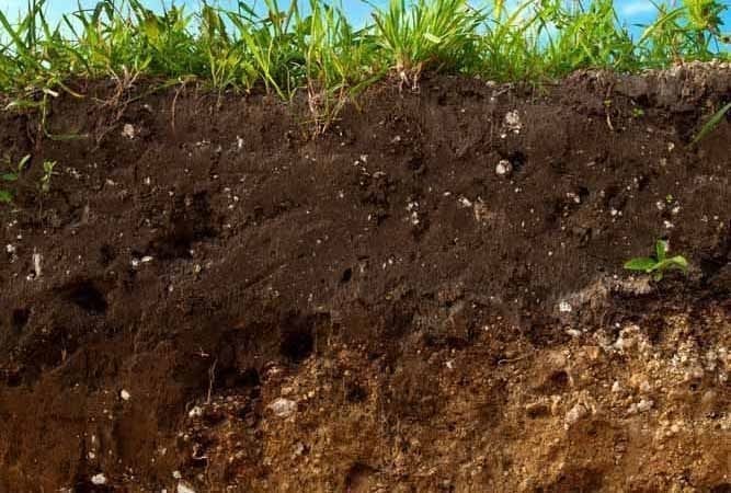 How mulching improves soil structure