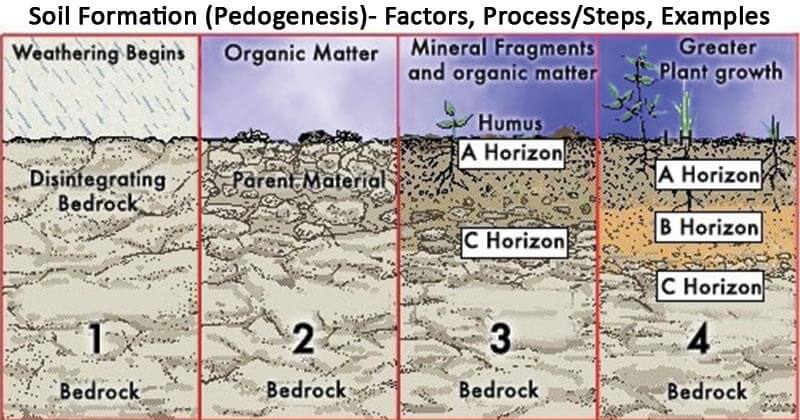Process of soil formation