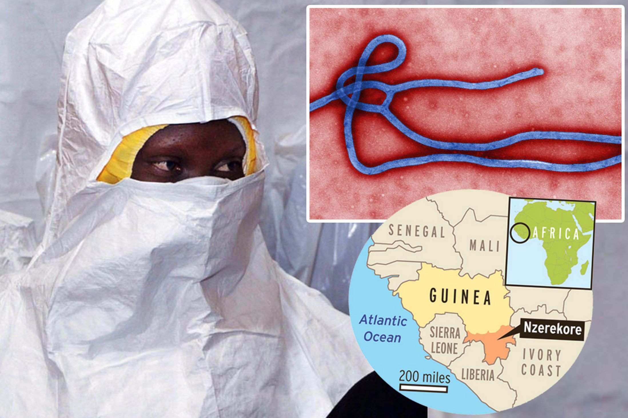 ලොව බියෙන් සලිත කරවන Ebola මාරයා !!