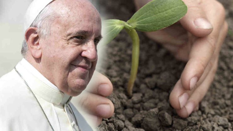 Pope Francis on Climate Change