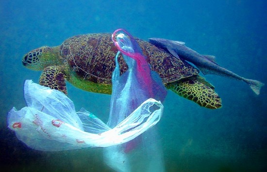 The horrific life story of our daily used plastics
