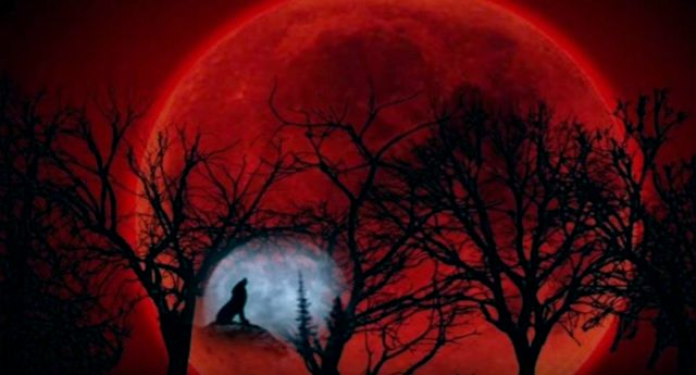 Call out for all the lunar-tics! Gear up for the ‘Super blue blood moon’