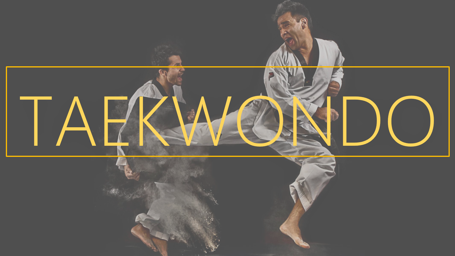 Taekwondo – Kicks and Punches Galore