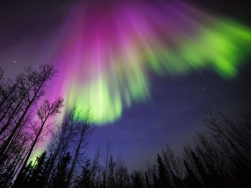 Auroras – Light Shown In The Sky