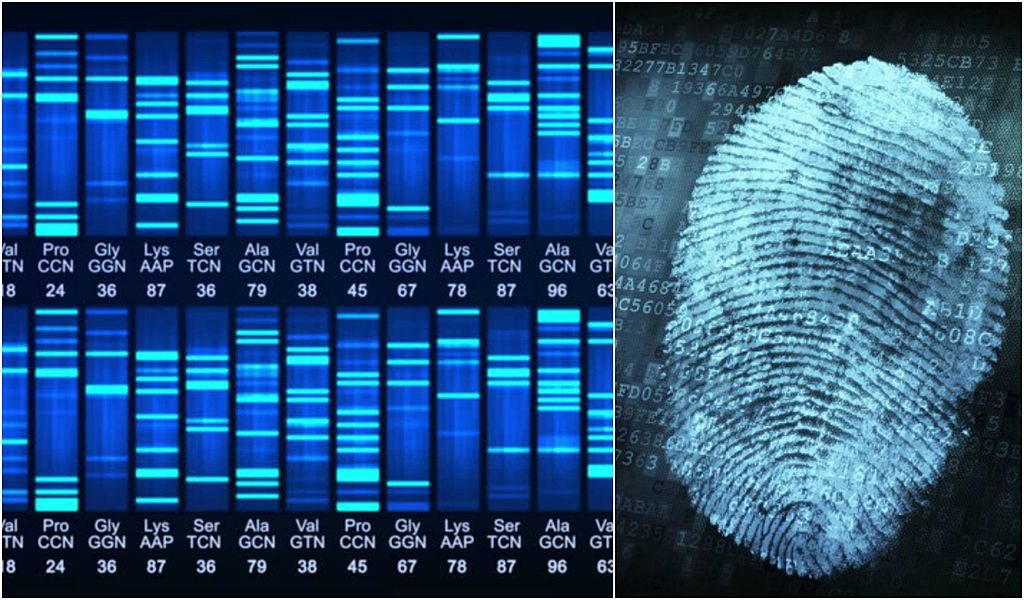 DNA fingerprint: the silent witness of a crime