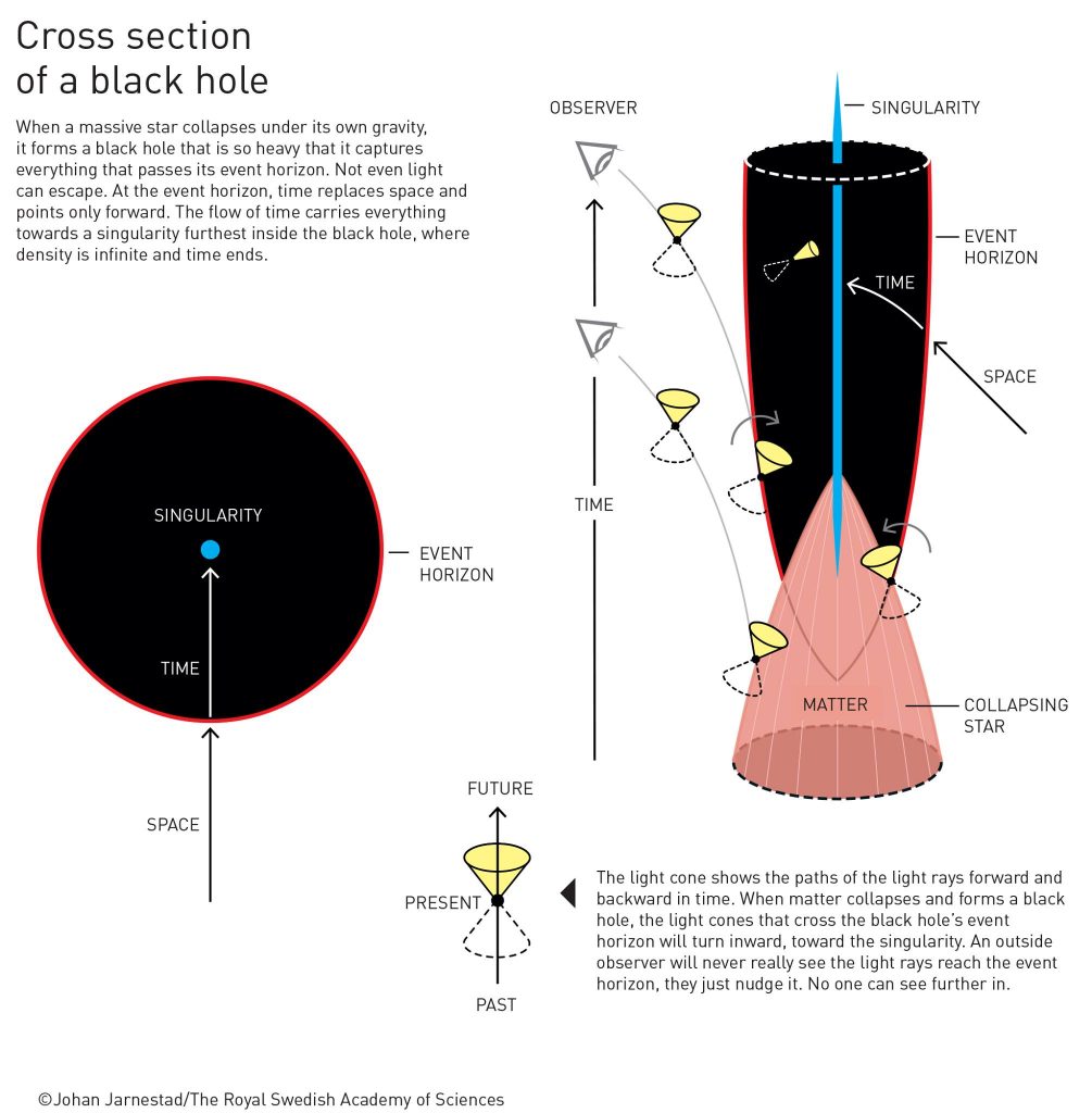Cross section of a black hole