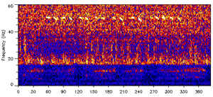 A picture of a spectrogram of the 52-Hertz signal (NOAA)