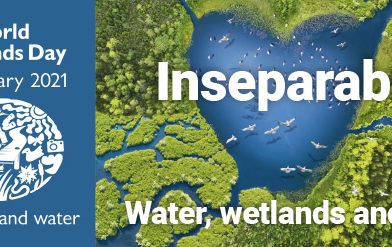 Celebrating Cradles of Biodiversity- World Wetlands Day 2021