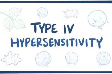 Hypersensitivity Type IV & Graft Rejection