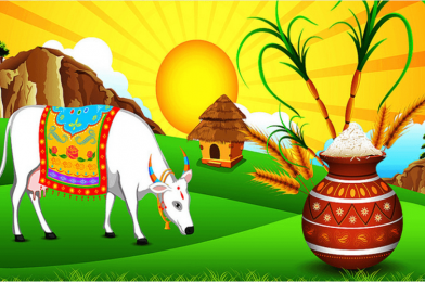 The Ultimate Thanksgiving Festival – Thai Pongal