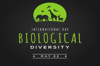International Day for Biological Diversity: Celebrating the Variety of Life on Earth
