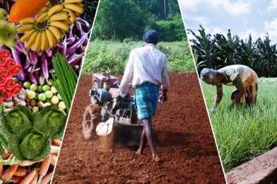 What’s Next for Sri Lanka’s Agriculture Sector?